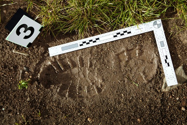 手掌印、足印鑒定